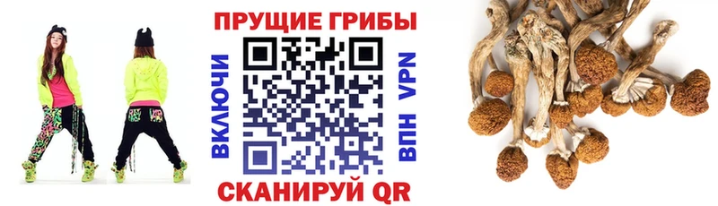 гидра ссылки  Чистополь  Псилоцибиновые грибы GOLDEN TEACHER  где продают наркотики 