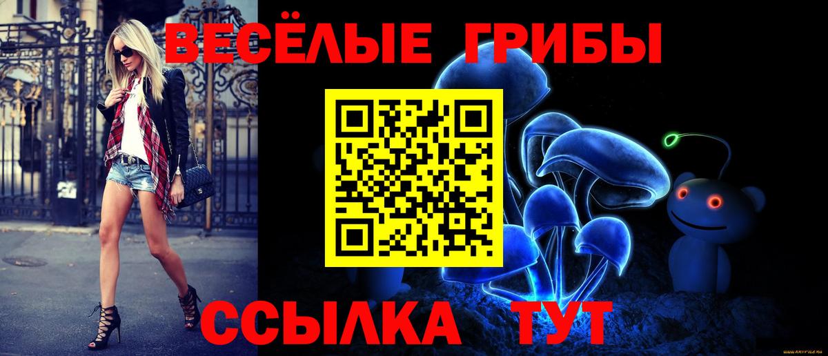 Псилоцибиновые грибы прущие грибы Чистополь